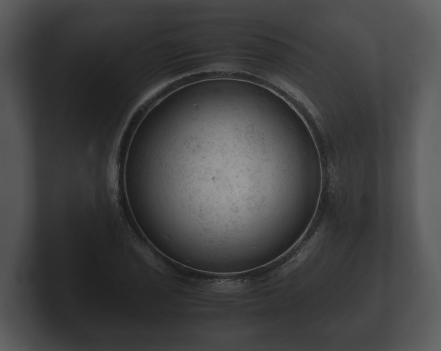 X0000103161029200808291446