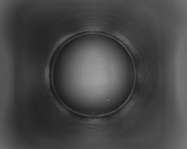 X0000103161030200808291446