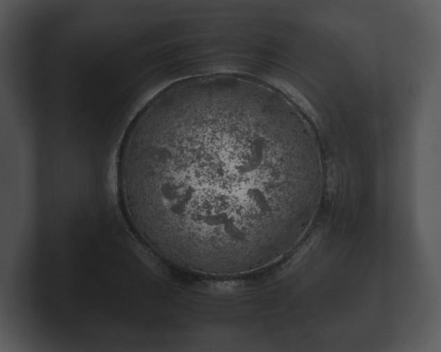 X0000103161031200808291446