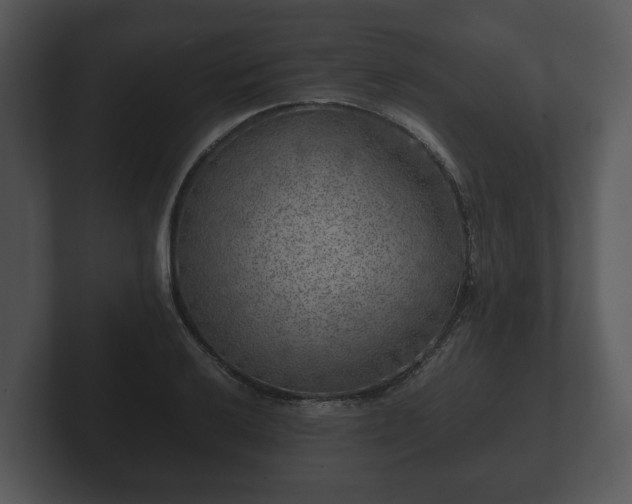 X0000103161032200808291446