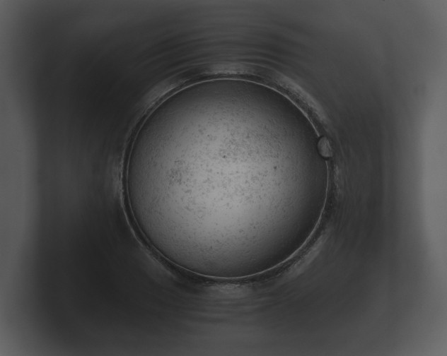 X0000103161033200808291446