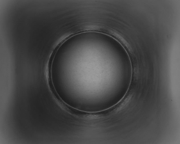 X0000103161034200808291446