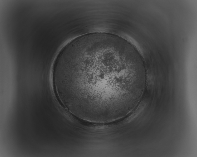 X0000103161035200808291446