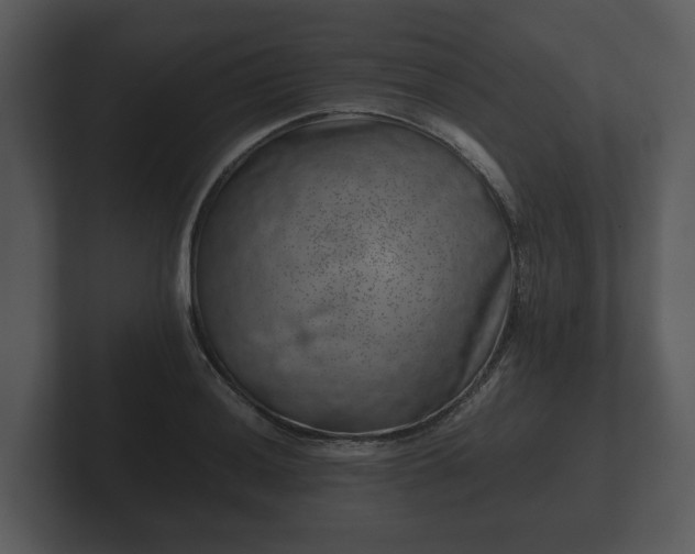 X0000103161036200808291446