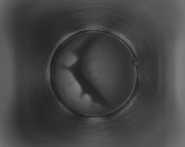 X0000103161037200808291446