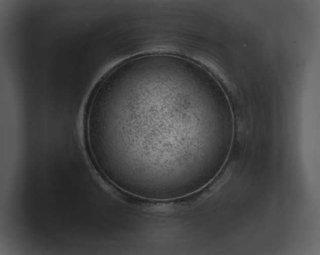 X0000103161038200808291446
