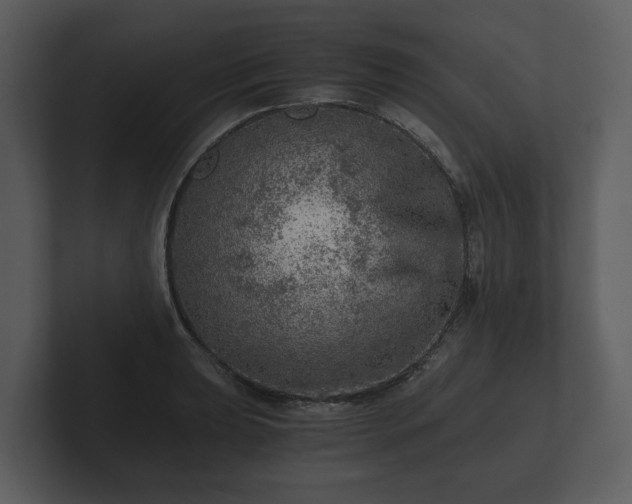 X0000103161039200808291446