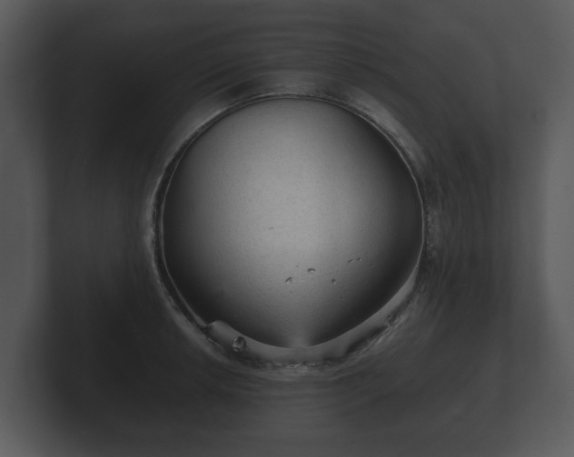 X0000103161042200808291446