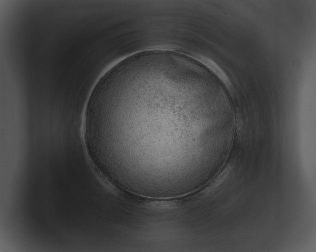 X0000103161044200808291446