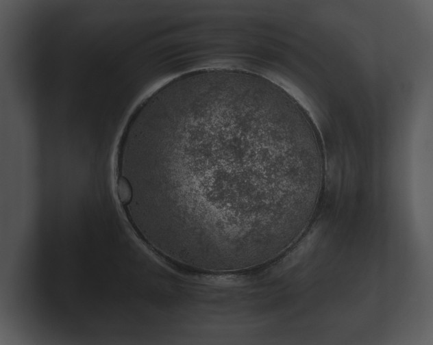 X0000103161045200808291446