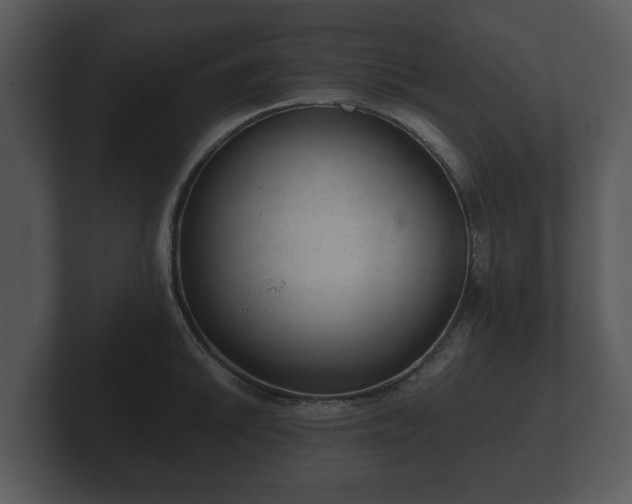 X0000103161046200808291446