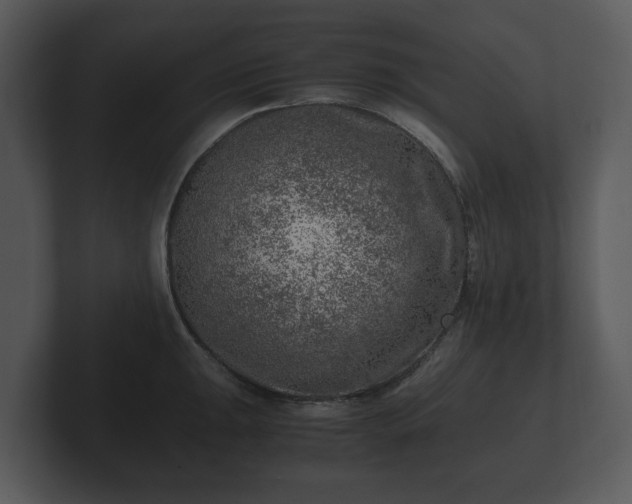X0000103161047200808291446