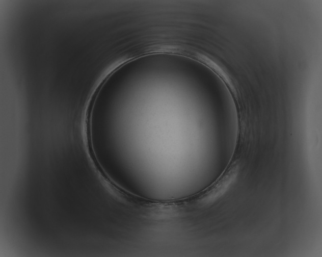 X0000103161050200808291446