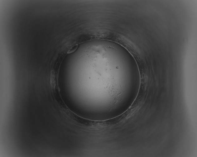 X0000103161058200808291445