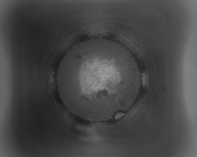 X0000103161059200808291445
