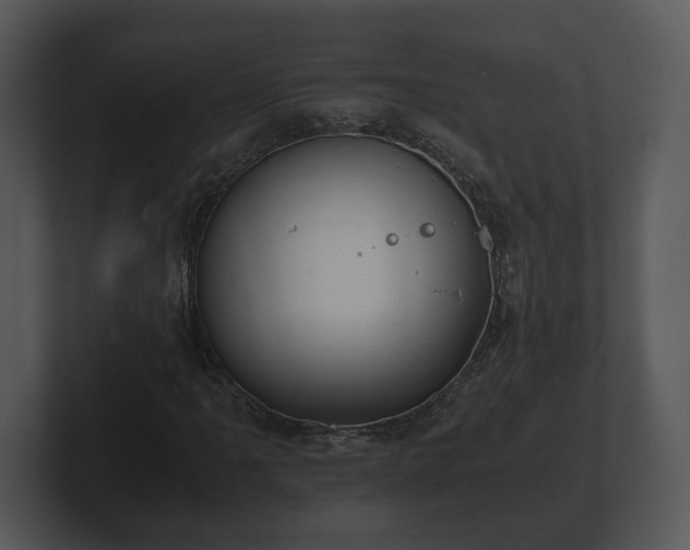 X0000103161061200808291445