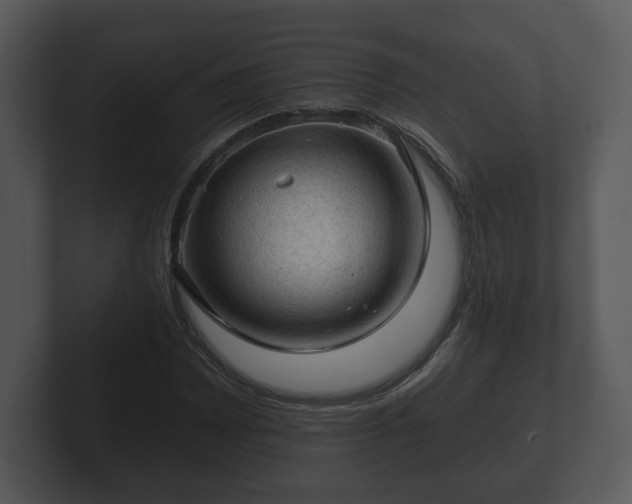 X0000103161065200808291445