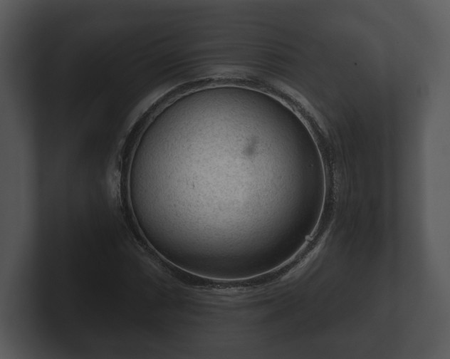 X0000103161066200808291445