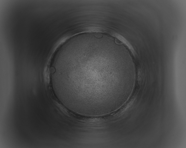 X0000103161067200808291445