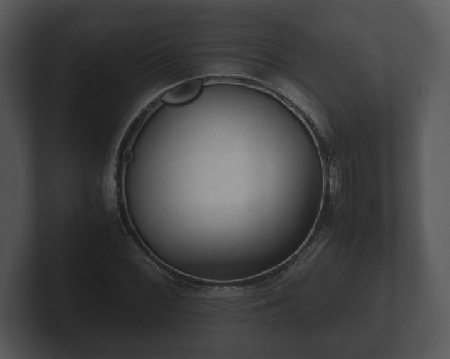 X0000103161068200808291445