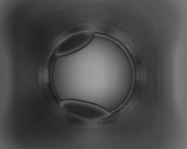 X0000103161069200808291445