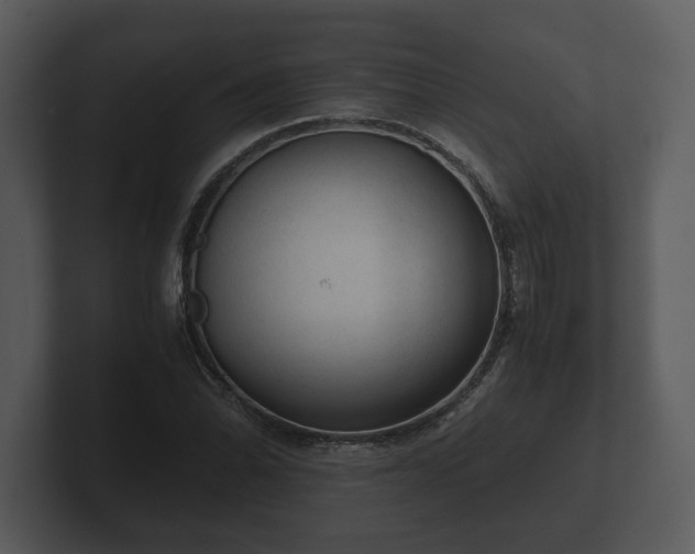 X0000103161070200808291445