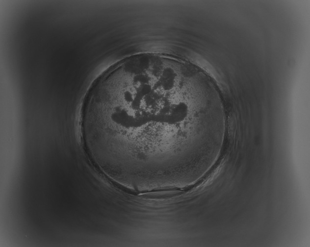 X0000103161071200808291445