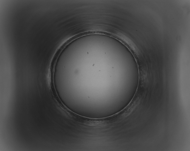 X0000103161076200808291445