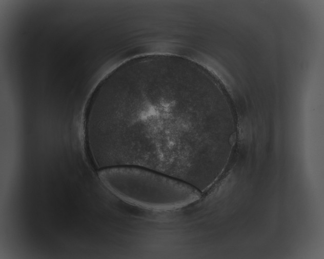 X0000103161077200808291445