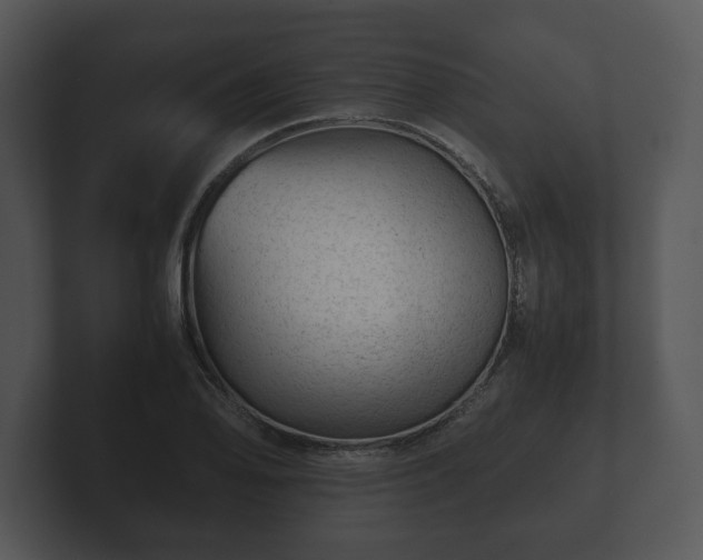 X0000103161078200808291445