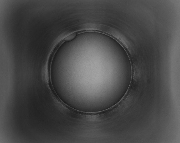 X0000103161080200808291445