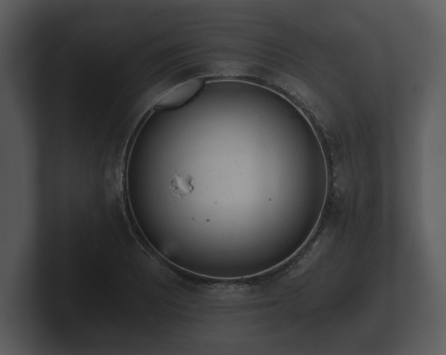 X0000103161081200808291445