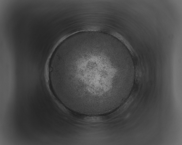 X0000103161083200808291445