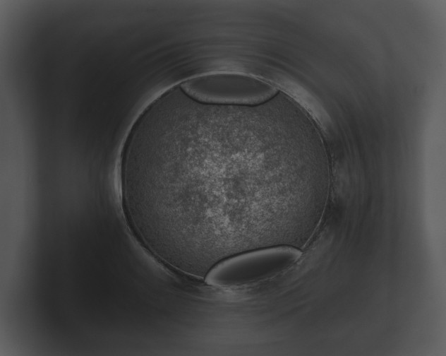 X0000103161084200808291445