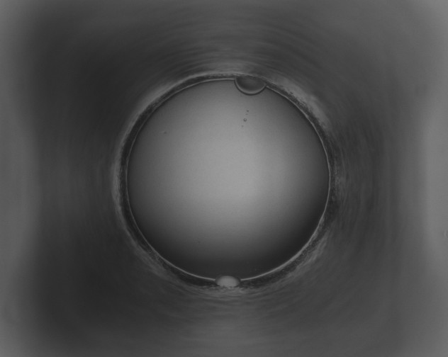 X0000103161085200808291445