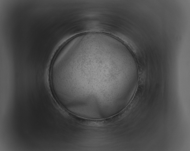 X0000103161086200808291445