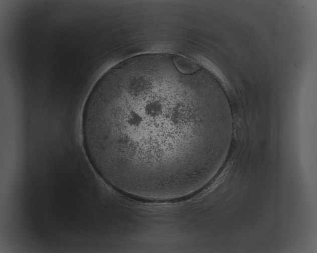 X0000103161087200808291445