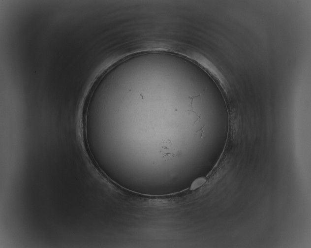 X0000103161088200808291445