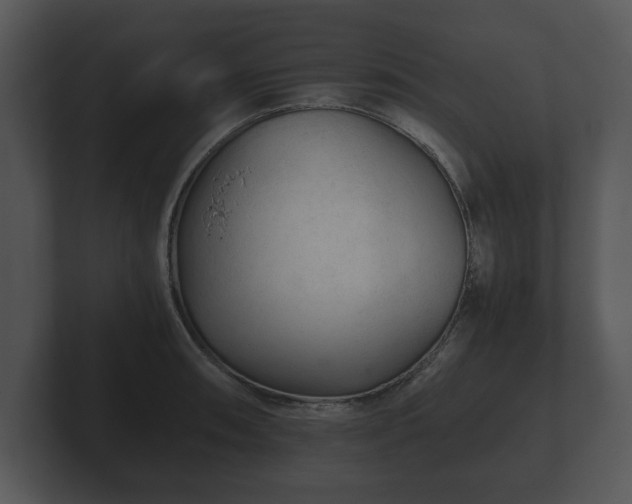 X0000103161090200808291445