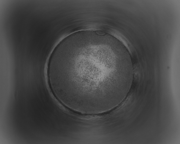 X0000103161091200808291445