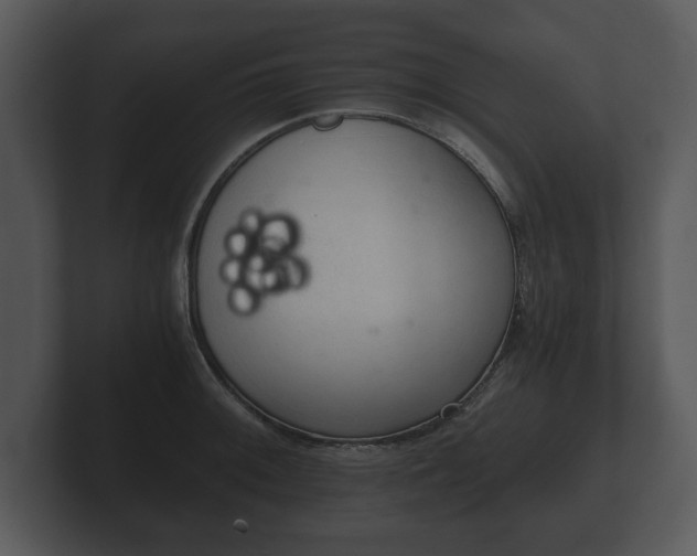 X0000103161092200808291445