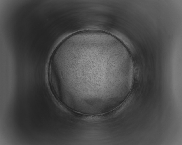 X0000103161094200808291445