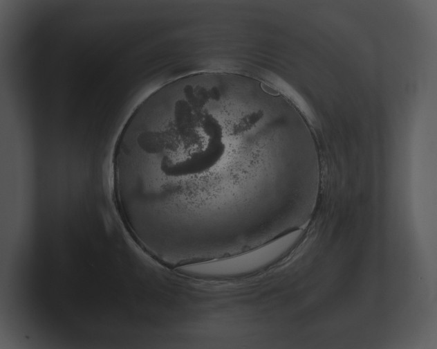 X0000103161095200808291445