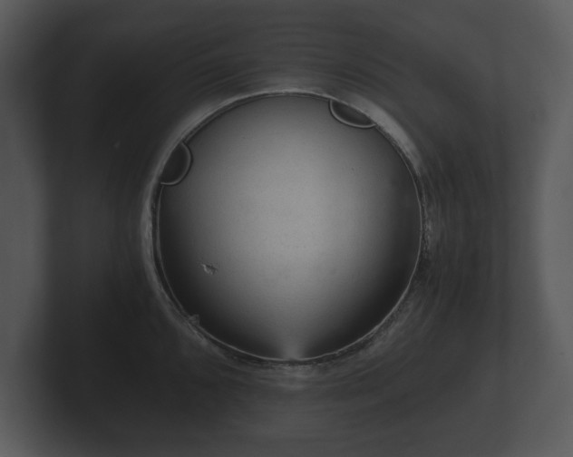 X0000103161096200808291445