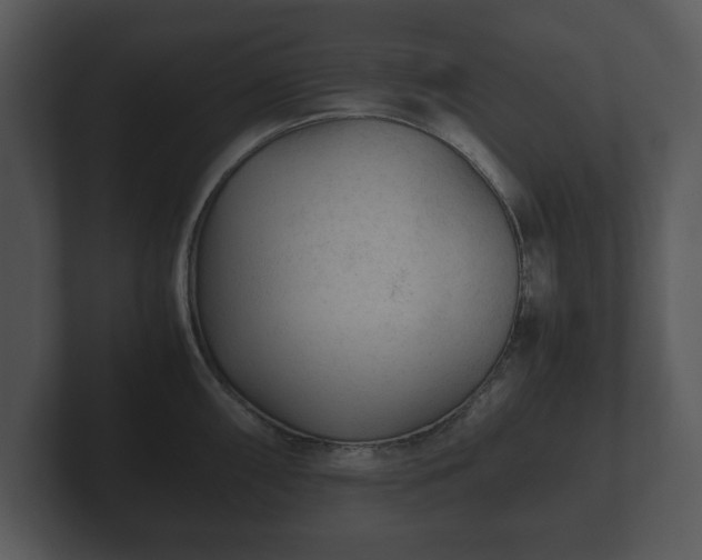 X0000103161098200808291445
