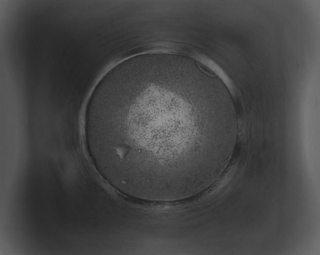 X0000103161099200808291445