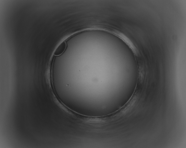 X0000103161100200808291445