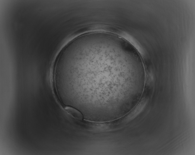 X0000103161101200808291445