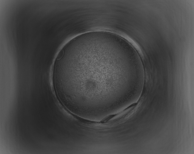 X0000103161102200808291445