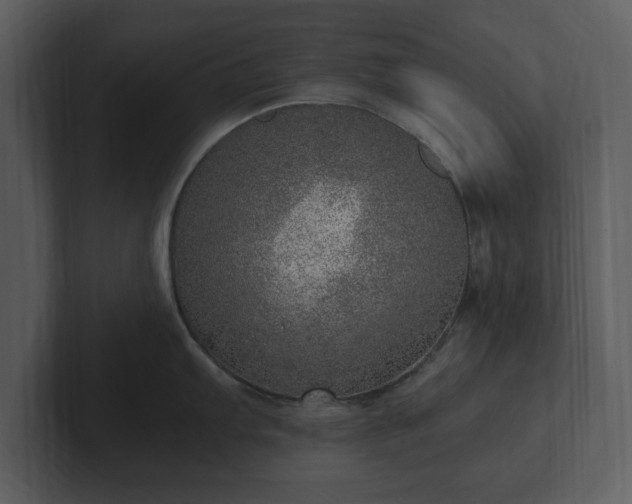 X0000103161103200808291445